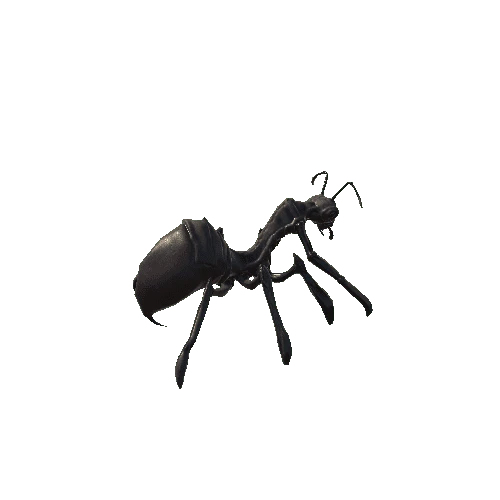 insect1_skin5_basemesh Variant